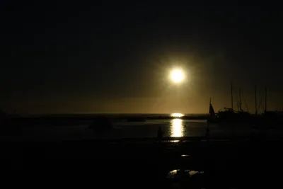 DSC_6551 (Large).JPG